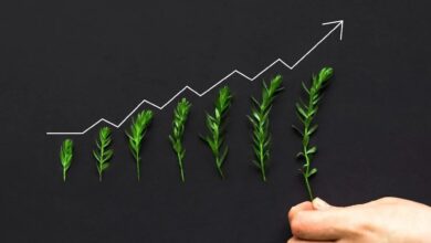 b2b growth marketing