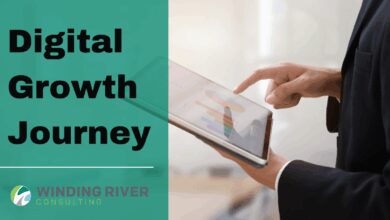 digital growth consulting