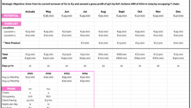international growth plan