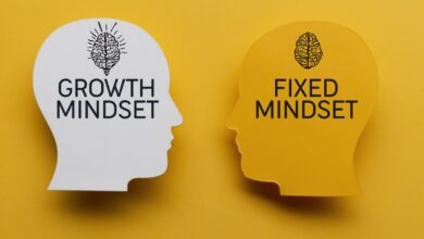 mindset for professional growth