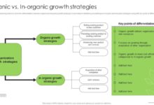 organic growth vs paid