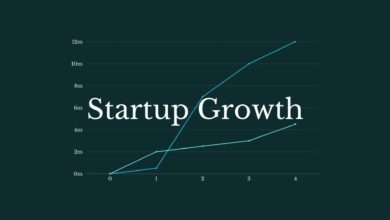 startup growth